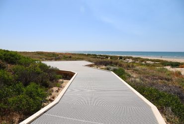 Halls Head Boardwalk